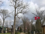 Juodonių kaimo gyventojai jau sveikina Lietuvą